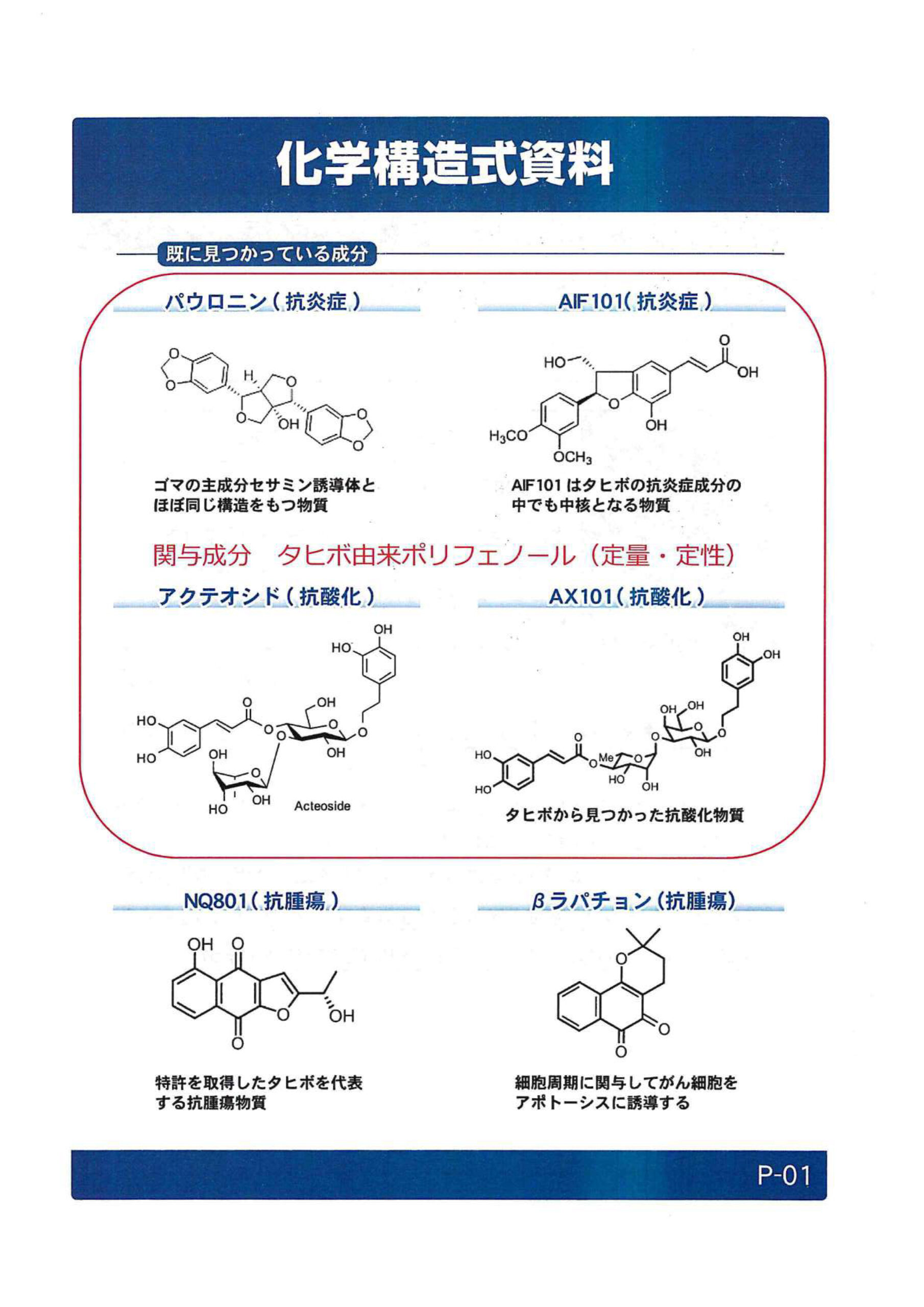 タヒボティーバッグ(9)