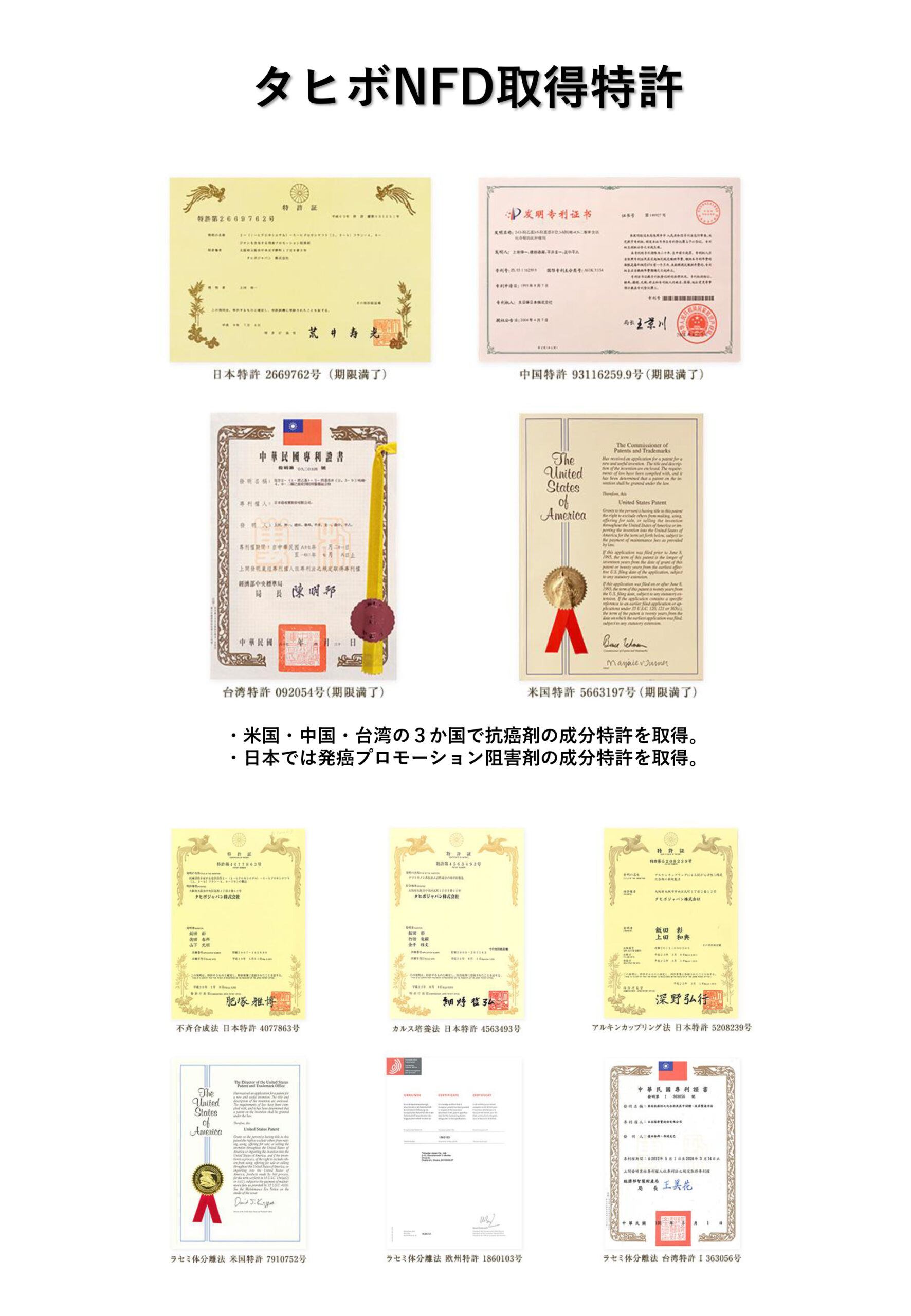 タヒボティーバッグ(8)