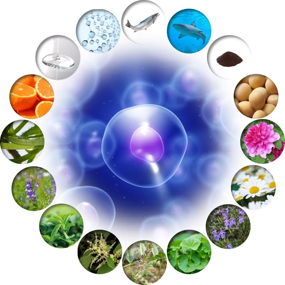 ヒト脂肪幹細胞培養液とは