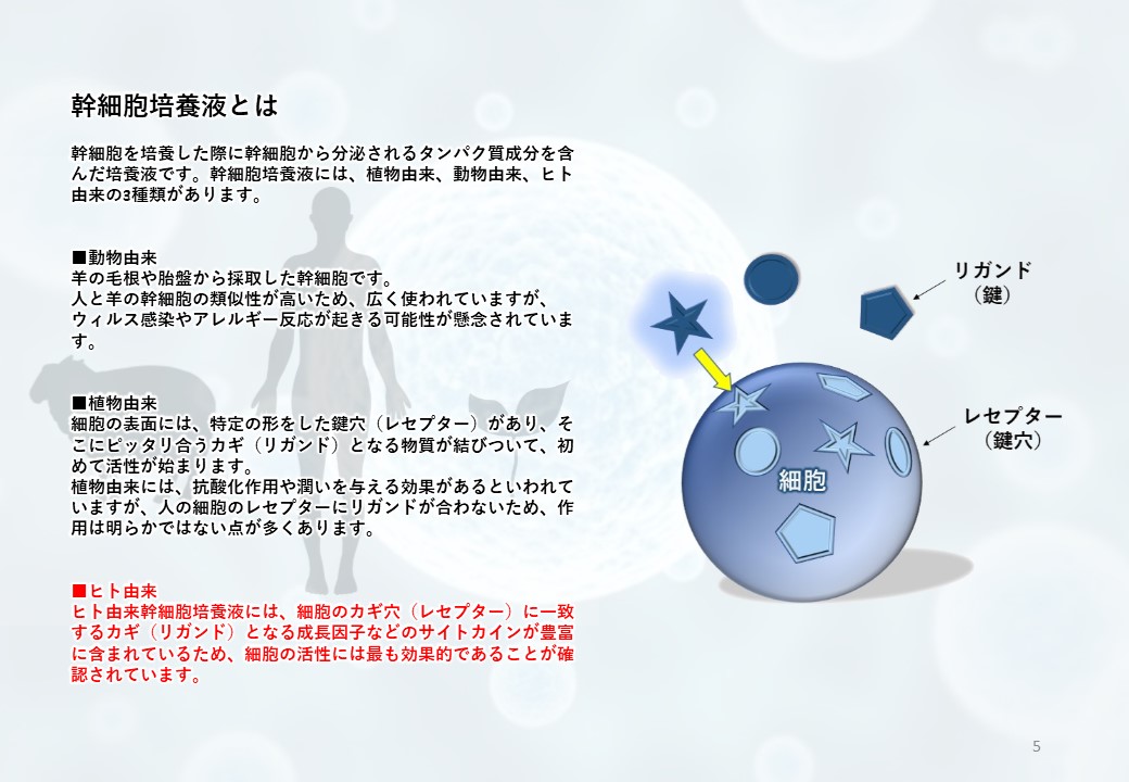 ヒト脂肪幹細胞培養液とは