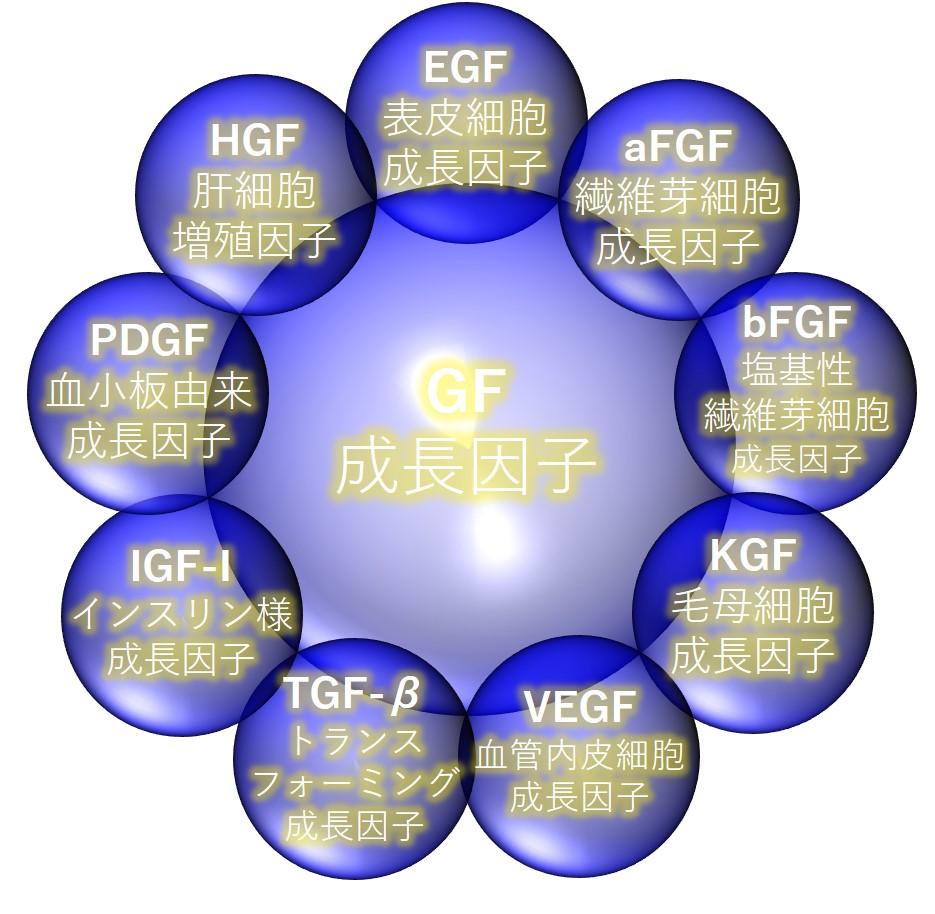 INANNAスキンエッセンス03