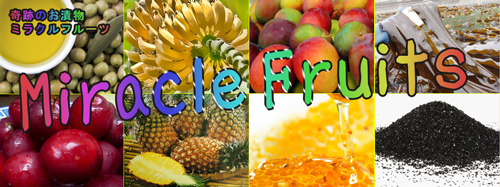 酵素が多い食べ物とは？