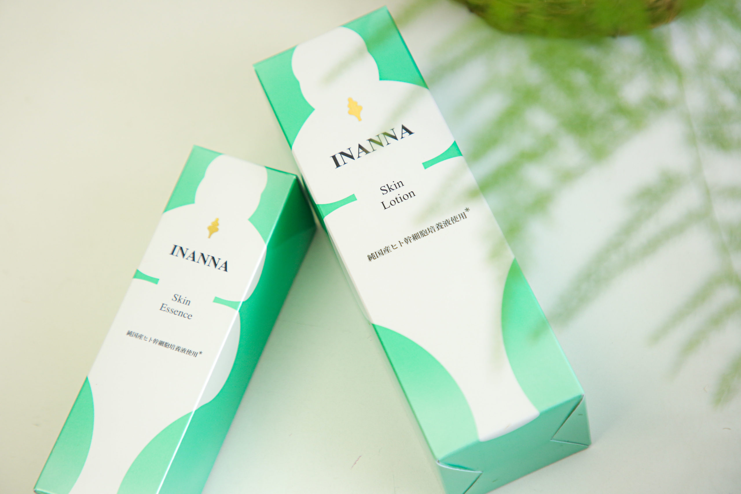 培養上清の感染症リスクに関する安全性確認